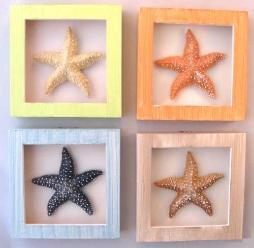 4 Resin Starfish Shadow Boxes