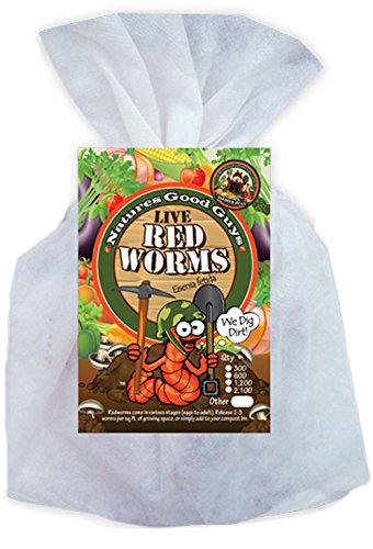 Composting worms - 600 red wigglers