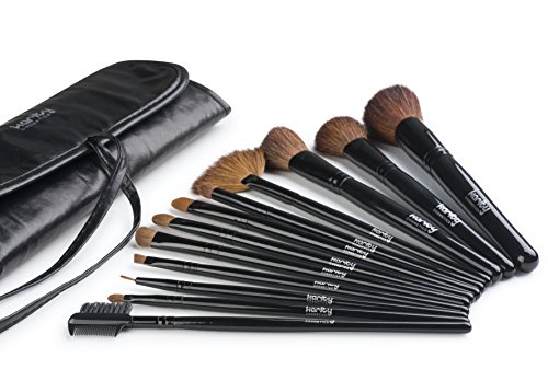 Karity Cosmetics Studio 12-Piece Natural Hair Makeup Brush Set With Pouch - Ebony