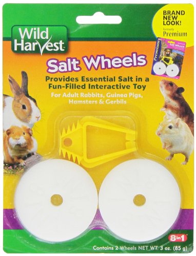 United Pet Group H1389 Salt Wheel Pet Treat, Set of 2