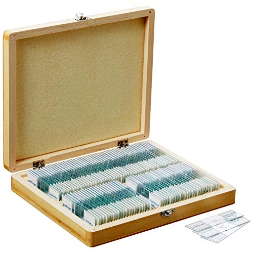 AmScope PS100D Prepared Microscope Slide Set for Basic Biological Science Education, 100 Anatomy and Botany Slides, Set D, Includes Fitted Wooden Case