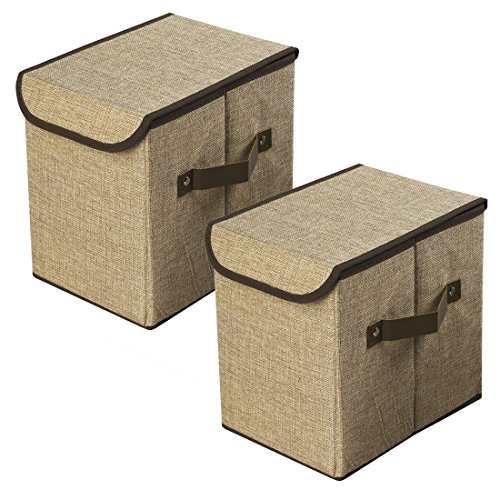 LightBiz Storage Box with Lid, Foldable Linen Closet Organizers Cubes Bins Containers 25L for Toys, Arts, Books, Clothing, Dresses and more - 2 Pack