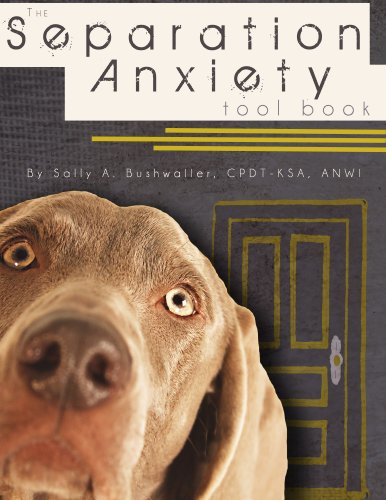 The Separation Anxiety Tool Book