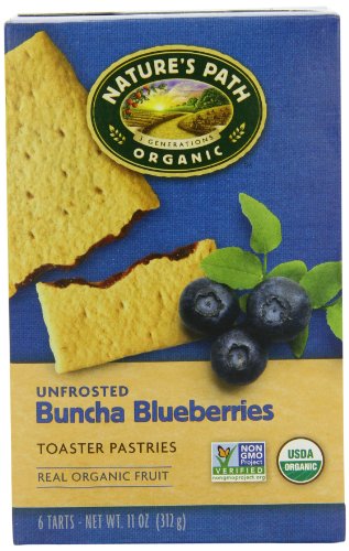 Nature's Path Organic Toaster Pastries, Blueberry, (Not Frosted), 6-Count Boxes (Pack of 12)