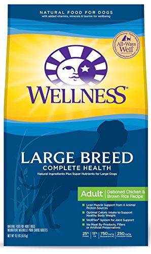 Wellness Complete Health Large Breed Chicken & Rice Natural Dry Dog Food, 15-Pound Bag