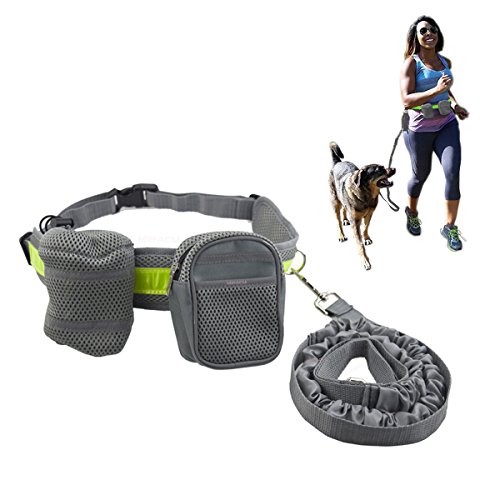 Miracu Running/Jogging/Walking Hands Free Dog Leash with Pouch/Waist Bags, Reflective Waist Belt, Elastic Leash(48inch)
