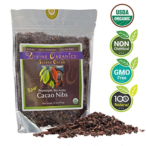 Divine Organics 1Lb / 16Oz Raw Cacao / Cocoa Nibs - Certified Organic - Premium Rio Arriba - Smoothies, Baking, Snacks, Salads, Trail Mixes - Chocolate Chips Substitute - Rich in Magnesium