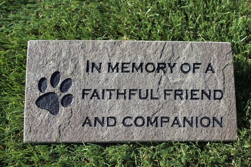 Sandblast Engraved Grey Stone Pet Memorial Headstone Grave Marker Dog Cat ff 4x8