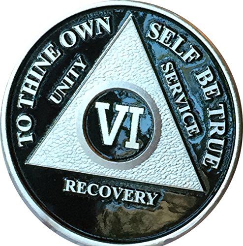 Black & Silver Plated 6 Year AA Alcoholics Anonymous Sobriety Medallion Vinyl Protector