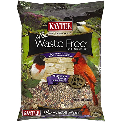Kaytee Waste Free Nut And Raisin Blend, 5lb