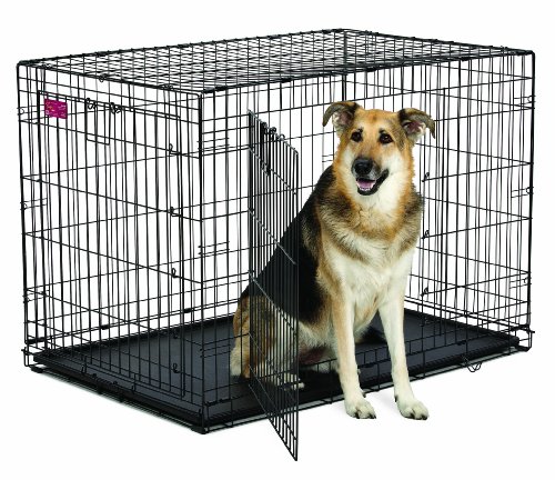 MidWest Homes for Pets Life Stages ACE Double Door Dog Crate, 42-Inch