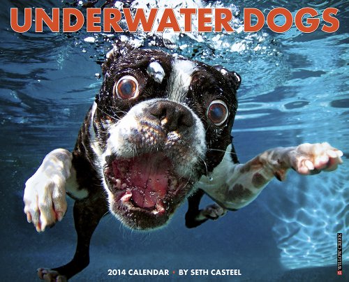 Underwater Dogs 2014 Wall Calendar