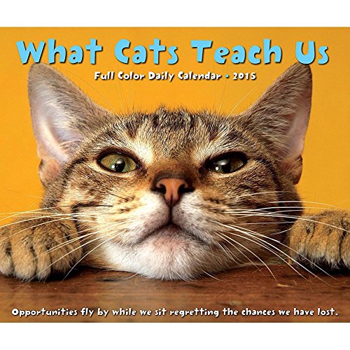 What Cats Teach Us 2015 Daily Boxed Calendar