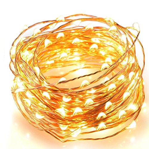AIWEISI LED String Lights Indoor Waterproof Starry Copper Wire Christmas Light for Party Wedding Home Decor (32.8 Feet, 100 Bulbs, Warm White)