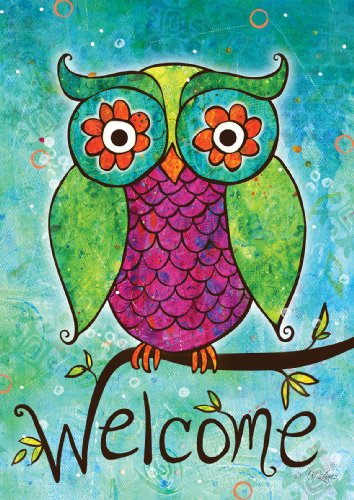 Toland Home Garden  Rainbow Owl 12.5 x 18-Inch Decorative USA-Produced Garden Flag