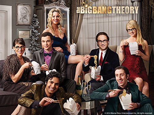 The Big Bang Theory: The Complete Eight Season