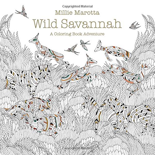 Wild Savannah: A Coloring Book Adventure
