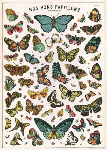 Cavallini & Co. Butterfly Chart Decorative Decoupage Poster Wrapping Paper Sheet