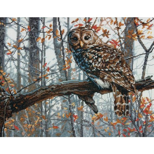 Dimensions Counted Cross Stitch Kit, Wise Owl