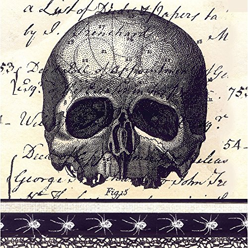 Enchanted Halloween Skull and Spiders Paper Cocktail Napkins