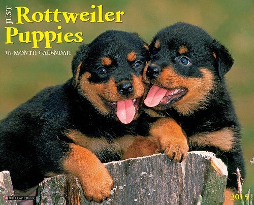 Rottweiler Puppies 2015 Wall Calendar