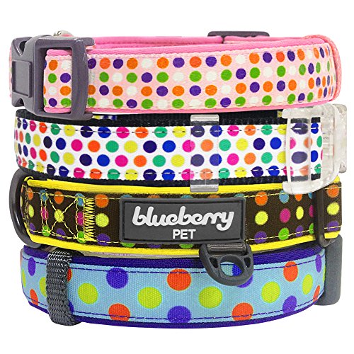 Blueberry Pet Collars For Dogs 3/4 Medium Multicolor Polka Dot Designer Dog Collar in Purple