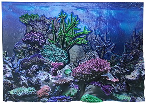 BioBubble 3D Coral Aquarium Background