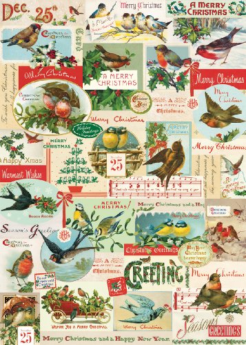 Cavallini & Co. Christmas Birds Decorative Decoupage Poster Wrapping Paper Sheet