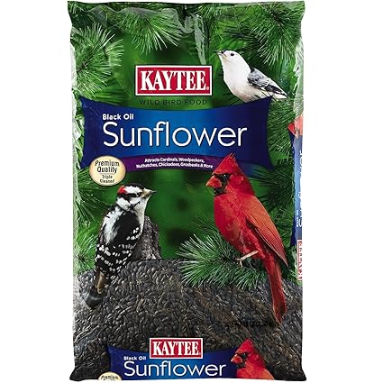 Kaytee Black Oil Sunflower Wild Bird Food, 10-Pound